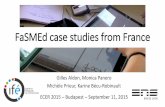 FaSMEd case studies from France