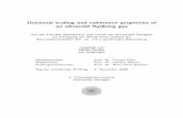 Universal scaling and coherence properties of an ultracold ...
