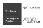 Tree Biology La Biologiade Arboles - AgriLife