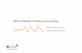 Gene networks in theory and practice