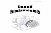 CANDU Fundamentals