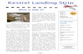 Kestrel Landing Strip