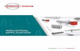 INDUSTRIAL APPLICATION - Newtronic