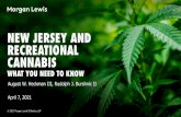 NEW JERSEY AND RECREATIONAL CANNABIS