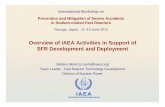 Overview of IAEA Activities in Support of SFR Development ...