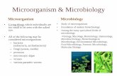 Microorganism & Microbiology - Courseware