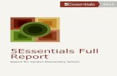 5Essentials Full Report