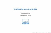 CUDA Kernels for SpMV