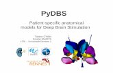 PyDBS - medicis.univ-rennes1.fr