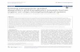 Priming nanoparticle-guided diagnostics and therapeutics ...