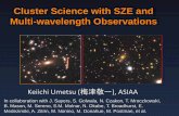 Cluster Science with SZE and Multi-wavelength Observations