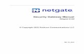 Netgate-6100 © Copyright 2021 Rubicon Communications LLC