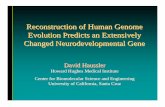 Reconstruction of Human Genome Evolution Predicts an ...