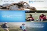 YOUR UT SELECT PLAN YEAR 2021 - 2022 Health Benefits At-a ...