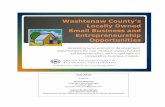 Washtenaw County’s Small Business and Entrepreneurship ...