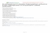 in the Pathogenesis of Amyotrophic Lateral Do MTHFR C677T ...