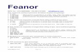 Feanor Gear Technology - Boch