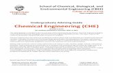 Undergraduate Advising Guide Chemical Engineering (CHE)