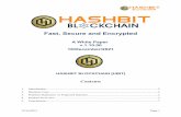 Fast, Secure and Encrypted - HASHBIT