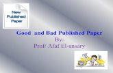 Good and Bad Published Paper
