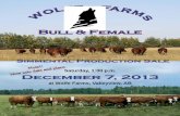 Bull & Female - Wolfe Farms