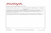 Duplicated Avaya Aura® Communication Manager on VMware