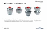 Product Data Sheet: Roxar High Pressure Plugs