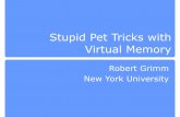 Stupid Pet Tricks with Virtual Memory - New York University
