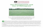The Management and Use of Bahiagrass - King's AgriSeeds