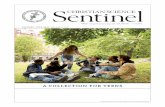 A COLLECTION FOR TEENS - Christian Science