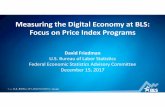 Measuring the Digital Economy at BLS: on Price Index Programs