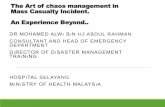 CHAOS IN MASS CASUALTY MANAGEMENT