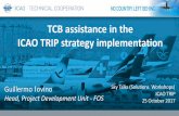 TCB assistance in the ICAO TRIP strategy implementation