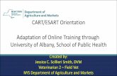 CART/ESART Orientation Adaptation of Online Training ...
