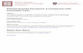 Platelet granule exocytosis: a comparison with chromaffin ...