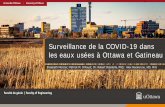 Surveillance de la COVID-19 dans les eaux usées à Ottawa ...