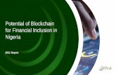Potential of Blockchain for Financial Inclusion in Nigeria