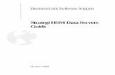 Strategi HSM Data Servers Guide - BusinessLink