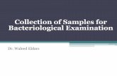 Collection of Samples for Bacteriological Examination