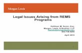 Legal Issues Arising from REMS Programs - Morgan Lewis