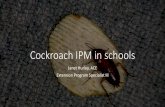 Cockroach IPM in schools