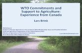 WTO Commitments and Support to Agriculture: Experience ...
