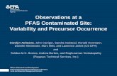Observations at a PFAS Contaminated Site: Variability and ...