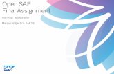 Open SAP Final Assignment