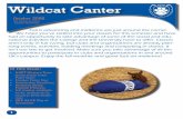 Wildcat Canter - University of Kentucky