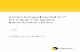 Veritas Storage Foundation for Cluster File System ...