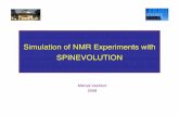 Simulation of NMR Experiments with SPINEVOLUTION