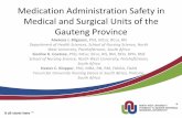 Medication Administration Safety in Medical and Surgical ...