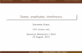 Sourendu Gupta - Theoretical Physics (TIFR) Home Page
