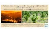 Reforestation strategies under changing wildfire, climate ...
